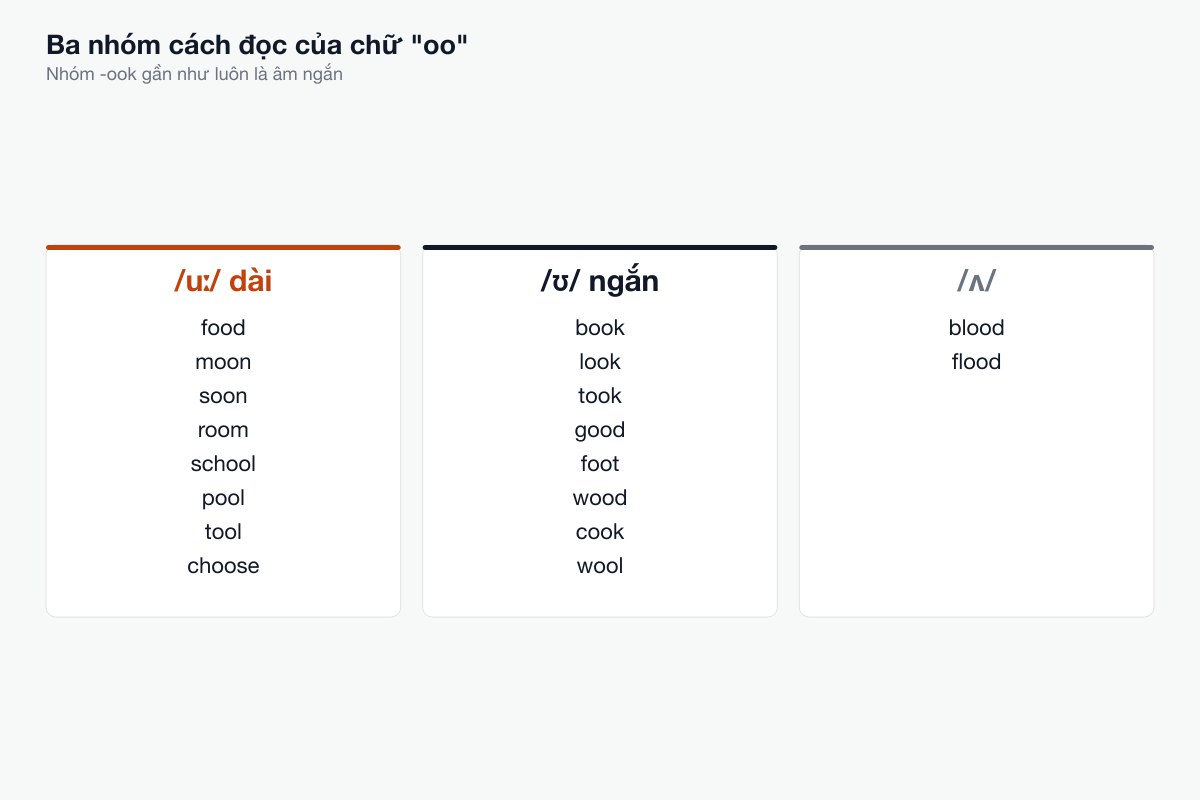 Ba nhóm cách đọc của chữ oo