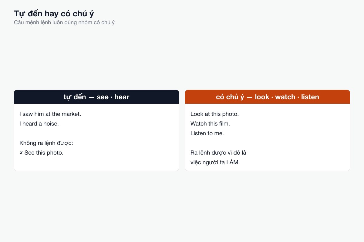 Có chủ ý hay không là trục chính