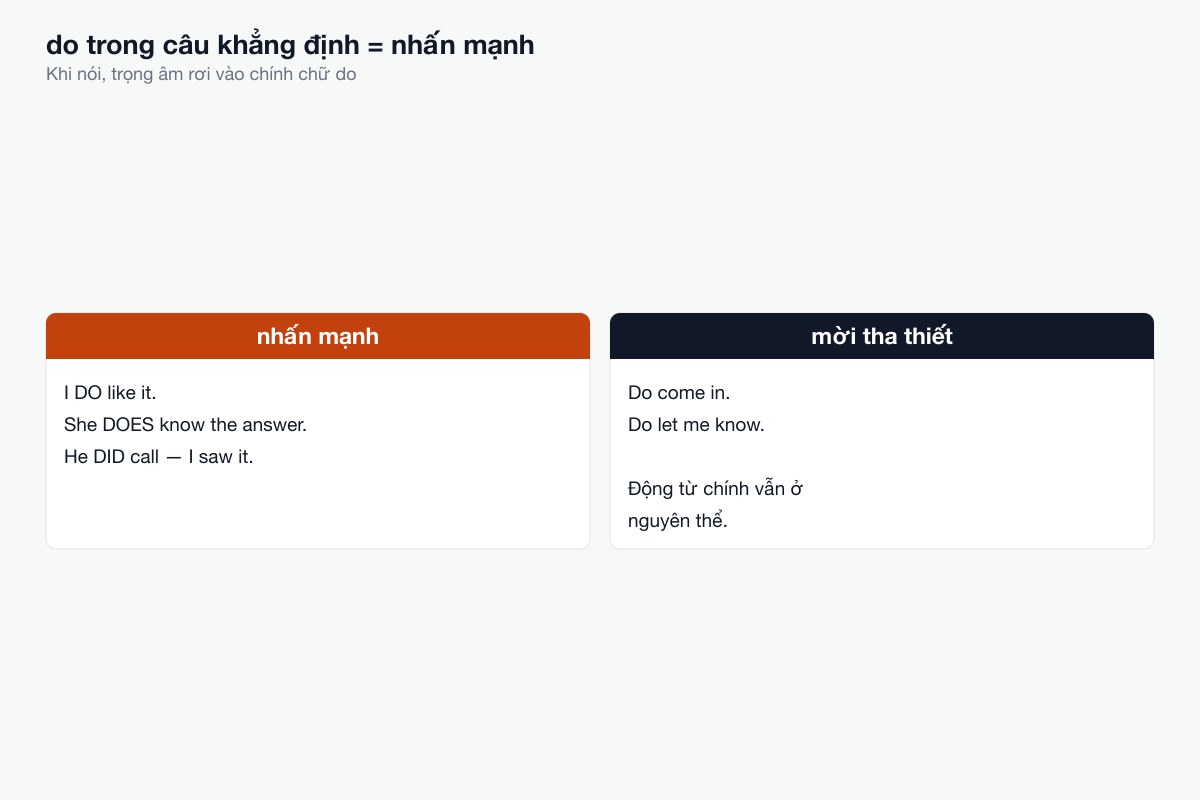 do cũng dùng để nhấn mạnh trong câu khẳng định