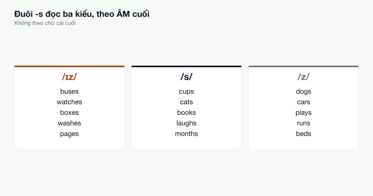 Ba nhánh từ một đuôi từ
