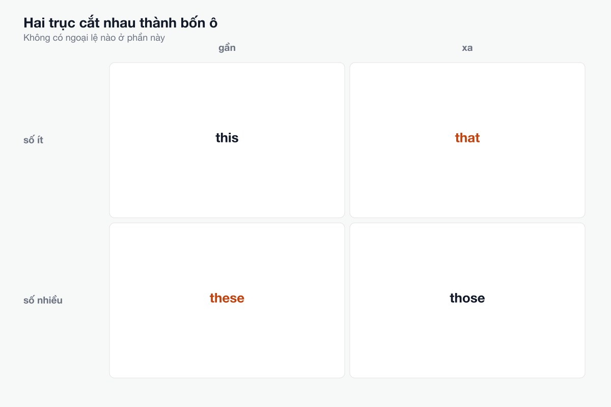 Hai trục cắt nhau thành bốn ô
