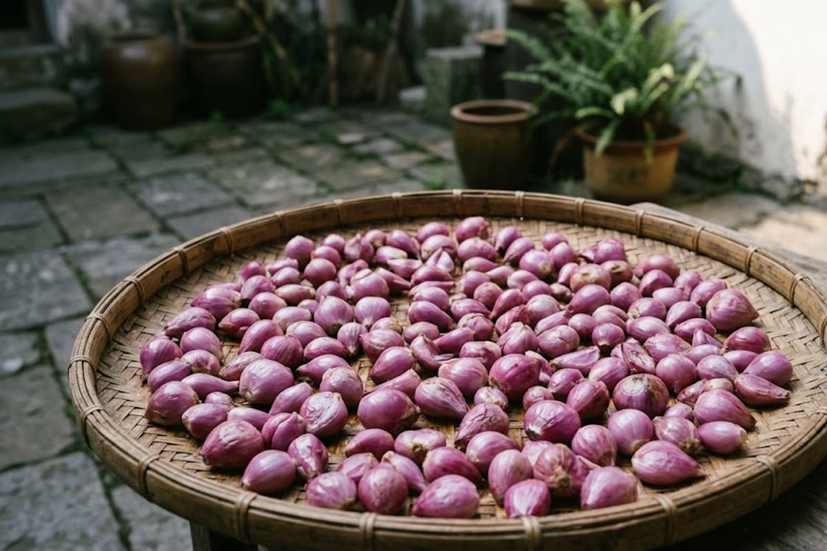 Hành tím trải trên nia phơi nắng, củ hơi héo mặt ngoài