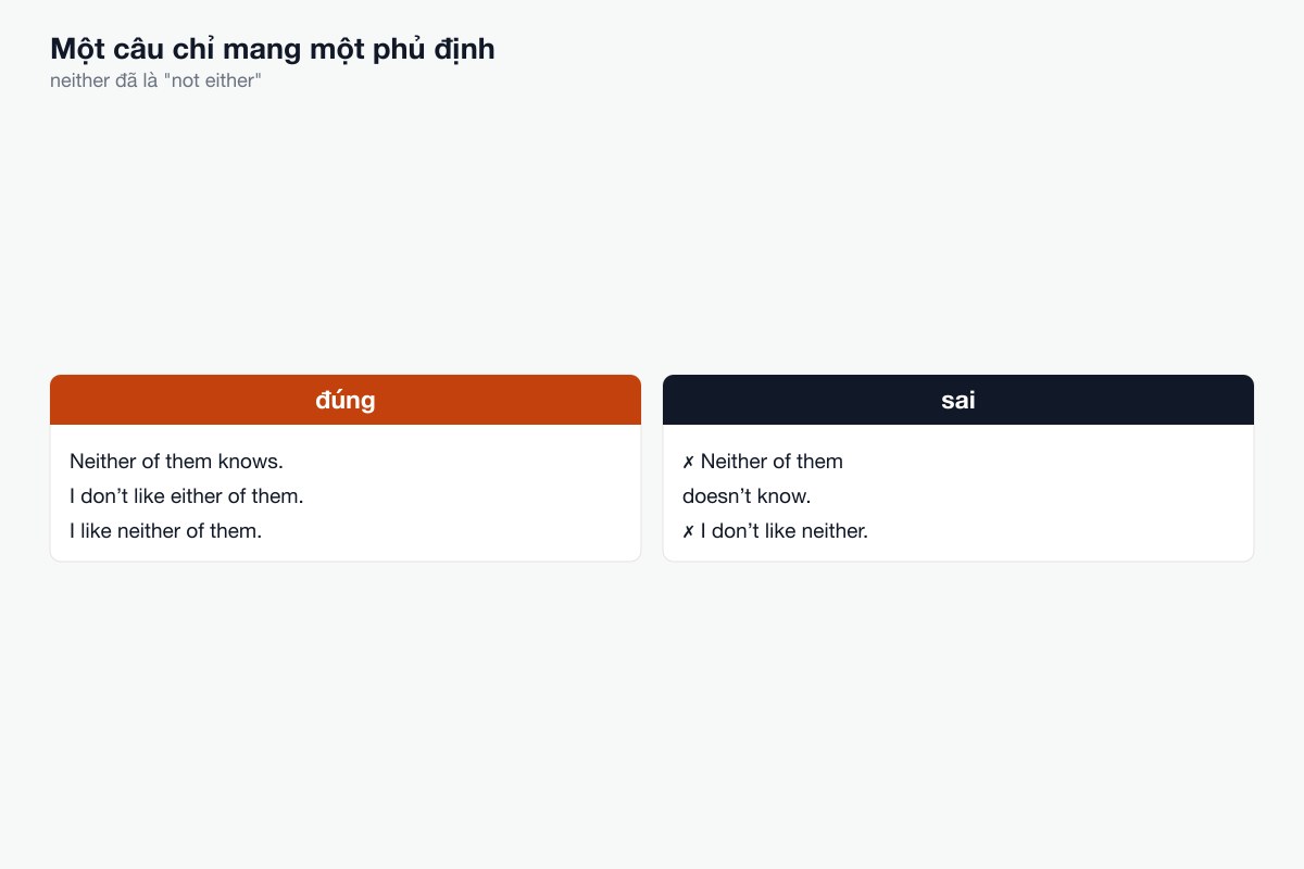 Một câu chỉ mang một phủ định