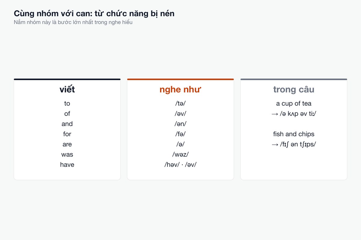Trong câu, can không được nhấn còn can't thì có